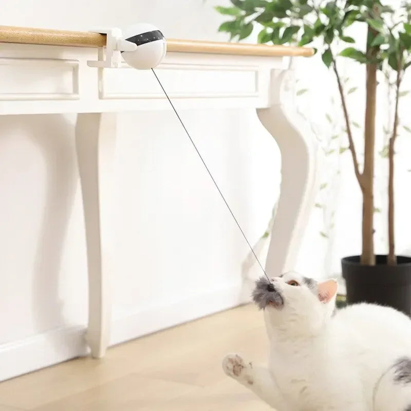 Eine weiße Katze interagiert mit einem elektrischen Spielzeug, das einen Faden verwendet, um eine Kugel von einer Holzoberflä