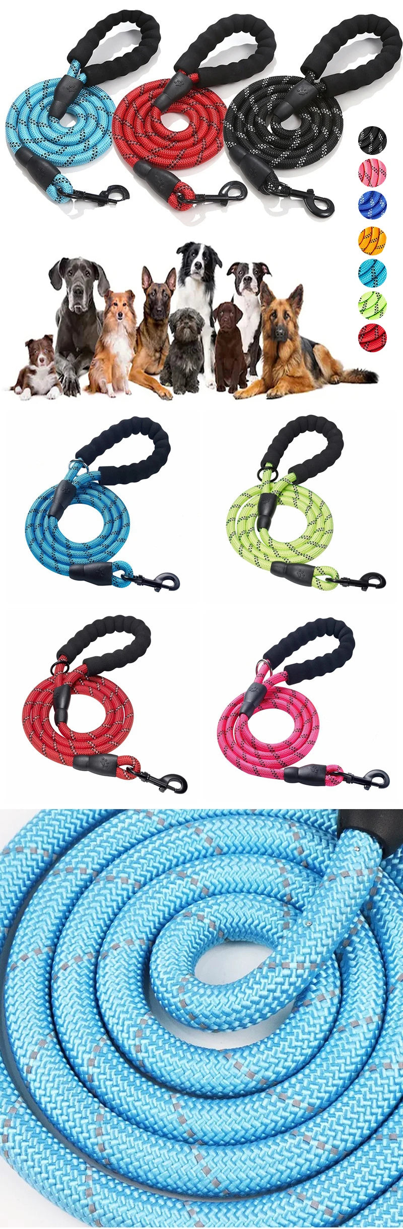 A collection of various reflective dog leashes and collars in blue, red, black, and green, along with several dogs.