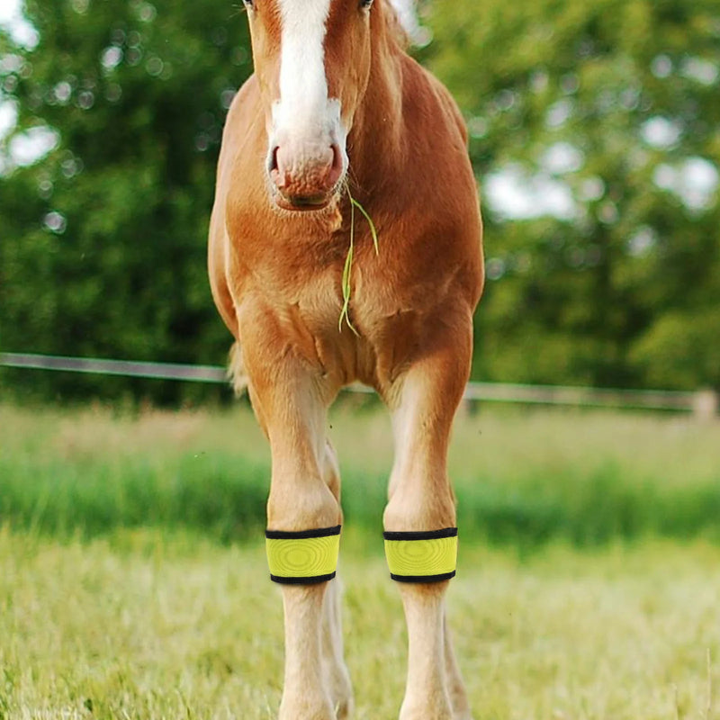 Bandas LED para Patas de Caballo para Cabalgar de Noche