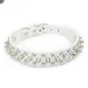 Punk Rivet Spiked Leather Dog Collar