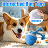 Interactive Rolling Dog Ball with Motion Sensor and Rope