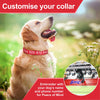 Personalisierte bestickte Nylon-Hundehalsband