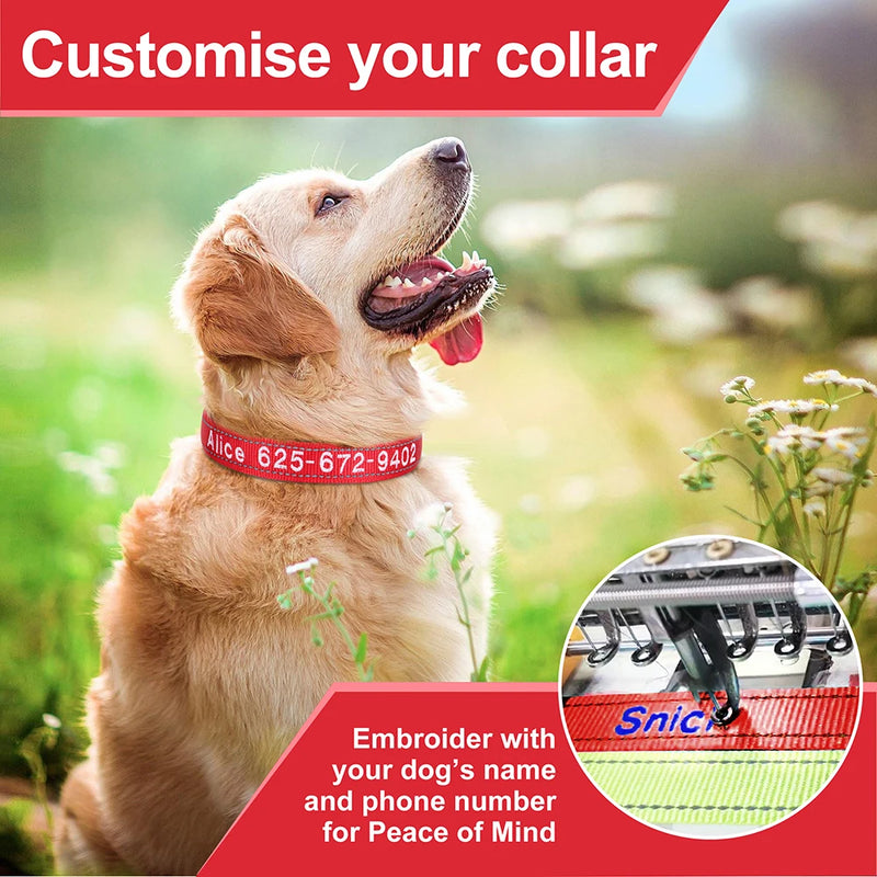 Personalisierte bestickte Nylon-Hundehalsband