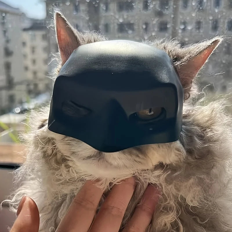 A fluffy cat is wearing a black bat wing mask for pets.