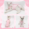 A fluffy white cat wearing a pink post-surgery recovery suit.