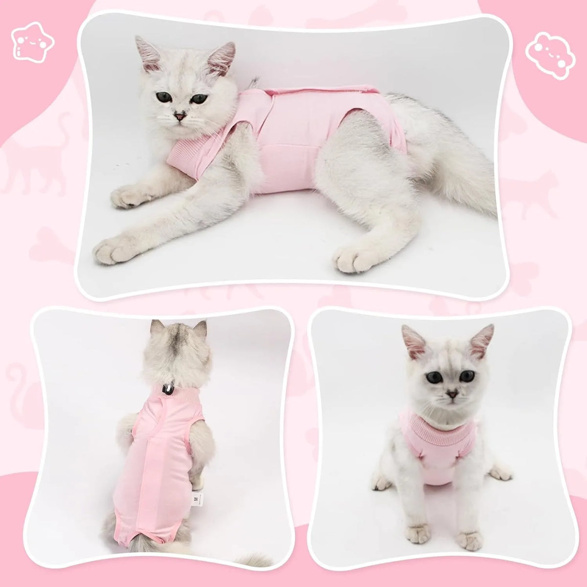 A fluffy white cat wearing a pink post-surgery recovery suit.