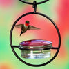 Metal Hanging Hummingbird Feeder with Glass Bottle
