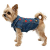 Un petit chien brun clair portant une veste en denim décorée de fraises rouges.