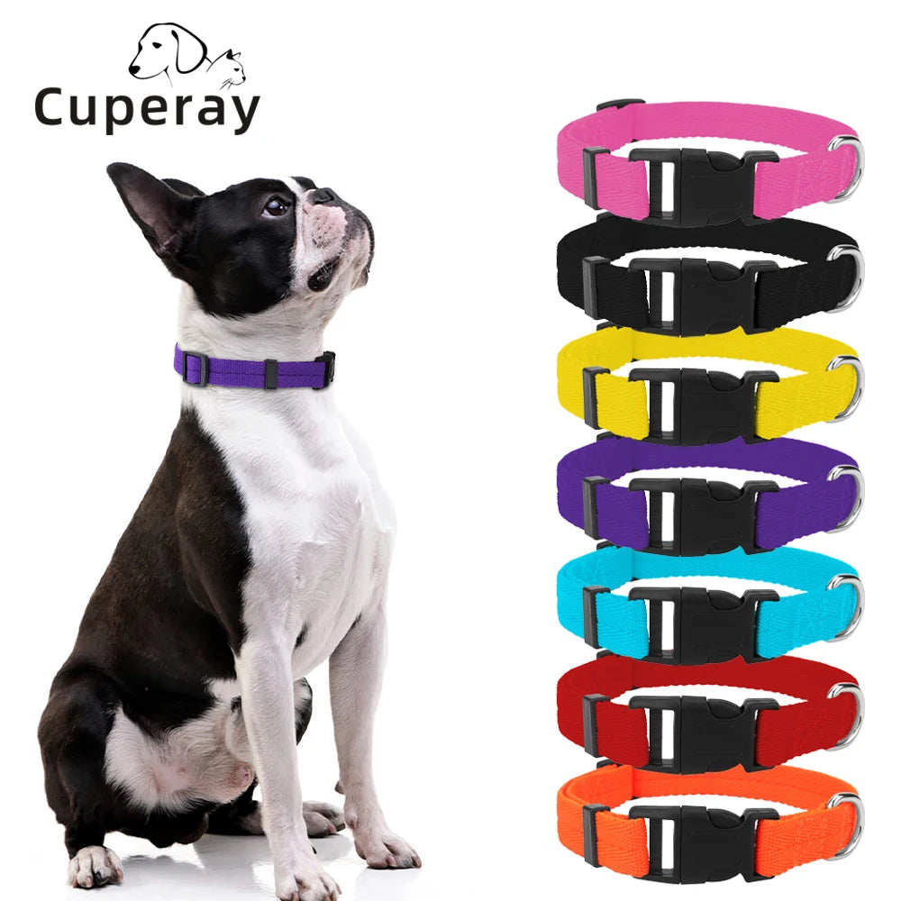 A collection of adjustable nylon dog collars in various colors including pink, black, yellow, purple, cyan, red, and orange.