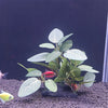 Artificial Aquarium Plant Decor - Turtle Tree Trunk Plastic