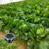 Solar Powered Ultrasonic Pest Repeller for Yard and Garden