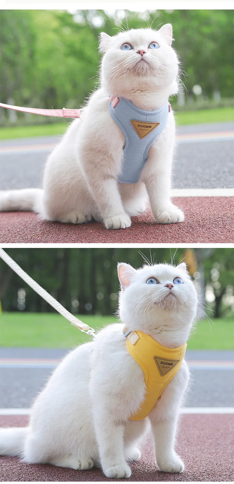 A white cat wearing a light blue and yellow escape-proof harness and leash set sitting outdoors.