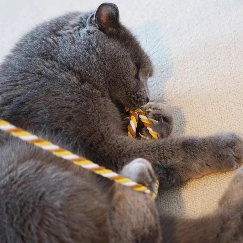 Interactive Cat Teaser Rod Toy with Satin Ribbon