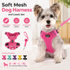 A small dog wearing a pink breathable mesh dog harness and leash set with reflective trim