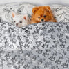 Couverture pour animaux douce et grise avec motif de pattes