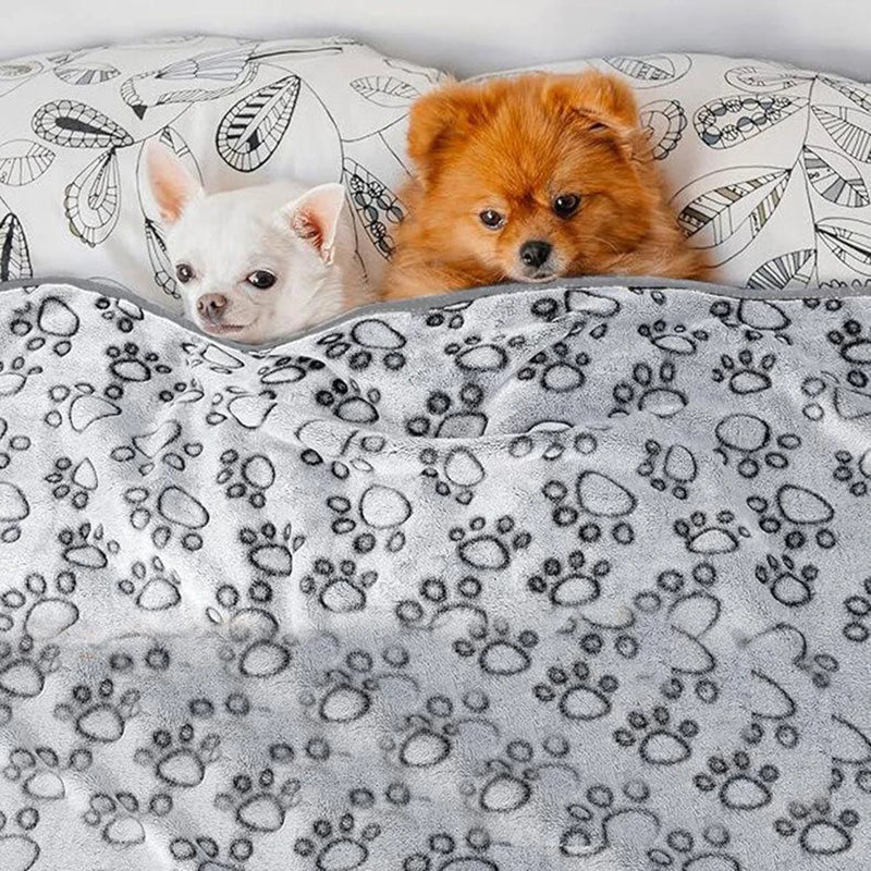 Couverture pour animaux douce et grise avec motif de pattes