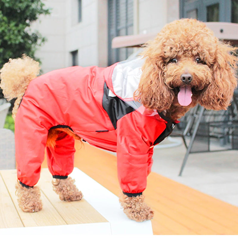 Impermeable para perros con estampado de cara divertida