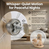 Silent Acrylic Hamster Running Wheel with Wooden Stand