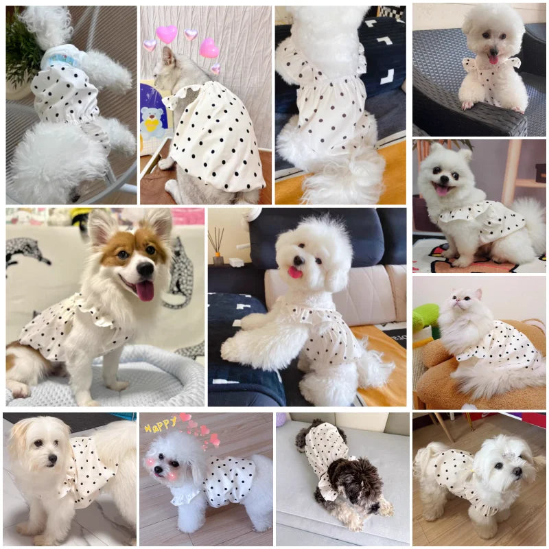 Polka Dot Summer Dog Dress with Suspender Straps