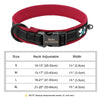 Reflektierendes personalisiertes Hundehalsband mit graviertem Anhänger