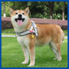Un feliz perro Shiba Inu vistiendo un arnés de paseo gris, parado sobre hierba verde.