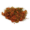 Lifelike Artificial Climbing Vine for Miniature Landscapes