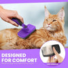 Cat Corner Scratcher with Self-Grooming Bristles and Catnip