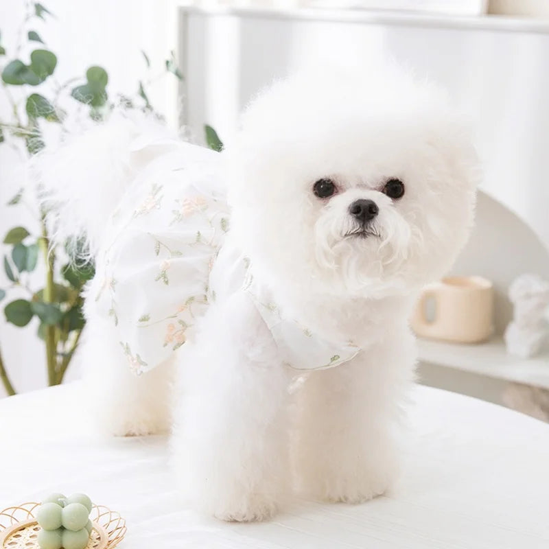 Princess-Style Dog Dress with Bow and Butterfly Skirt