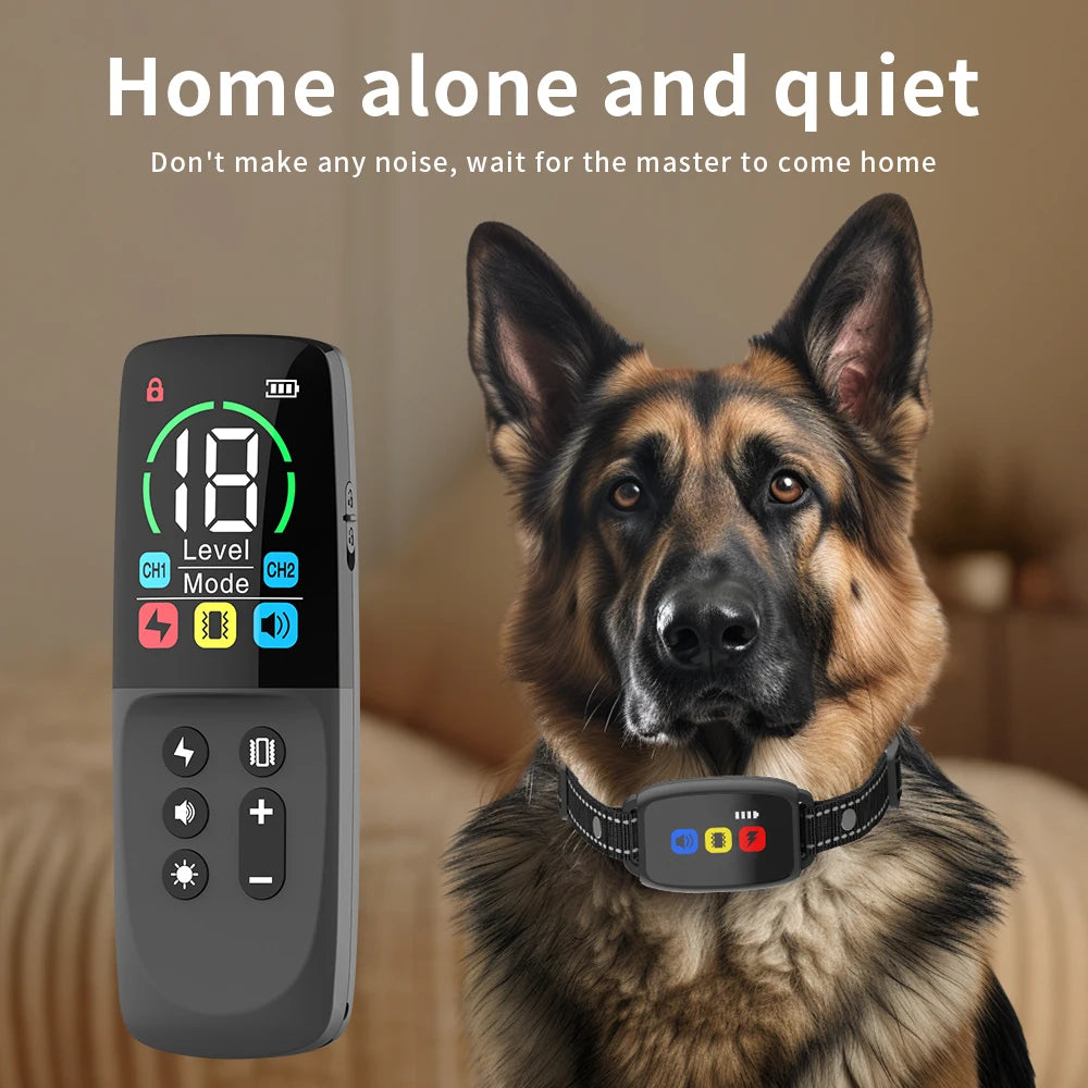 A German Shepherd dog wearing a black training collar with a remote control device visible in the foreground.