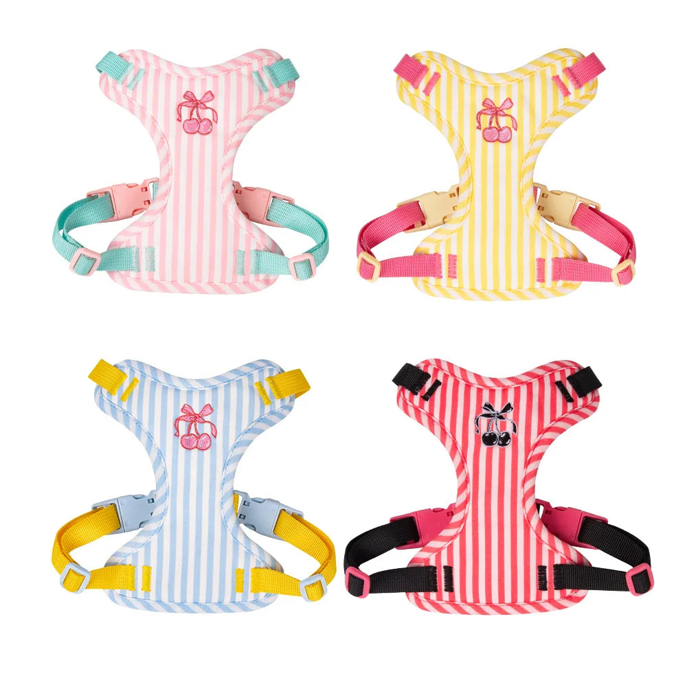 Striped Color-Block Dog Harness with Matching Leash