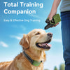 A golden retriever wearing an electric dog training collar is being held by a person outdoors.