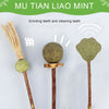 Natural Silvervine Cat Chew Sticks for Dental Care & Play