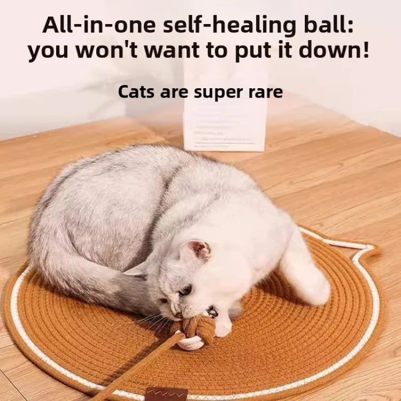 A white cat is playing with a round, textured scratching mat and ball.