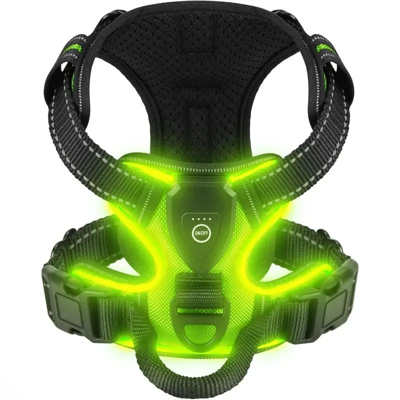Rechargeable LED Dog Harness with 3 Light Modes for Night Safety