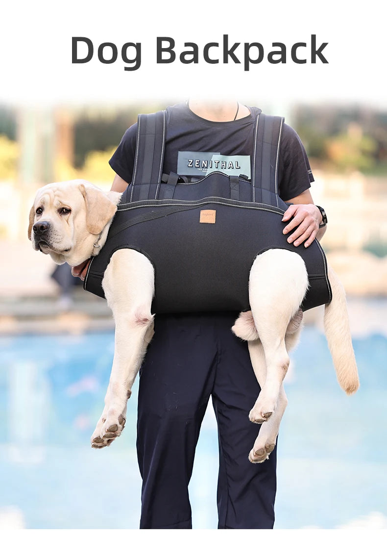 Ein helles Hund wird in einem für Hunde konzipierten schwarzen Rucksack getragen.