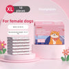 A box of XL disposable female dog diapers for puppies is shown next to stacked diapers and a pink stand.