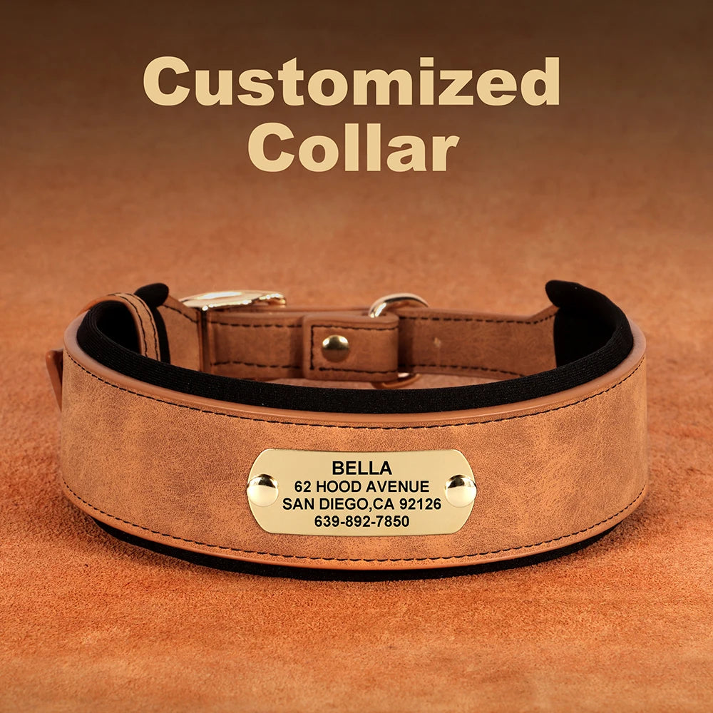 A tan PU leather dog collar with a custom name tag featuring the name Bella and contact information.