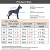 Denim Dog Harness Dress with D-Ring for Small and Medium Breeds