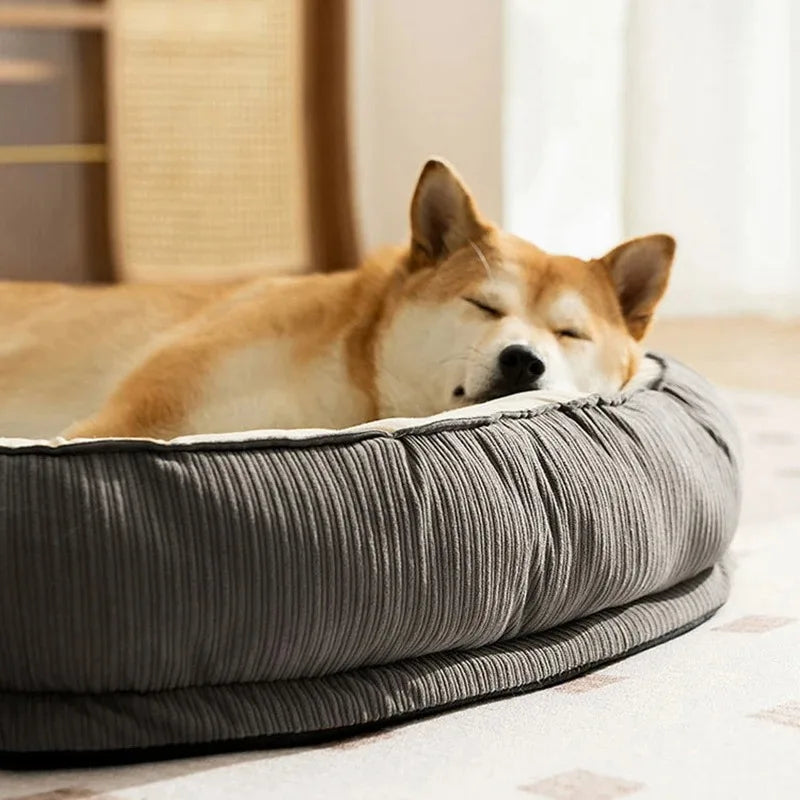 Litière respirante pour chiens et chats
