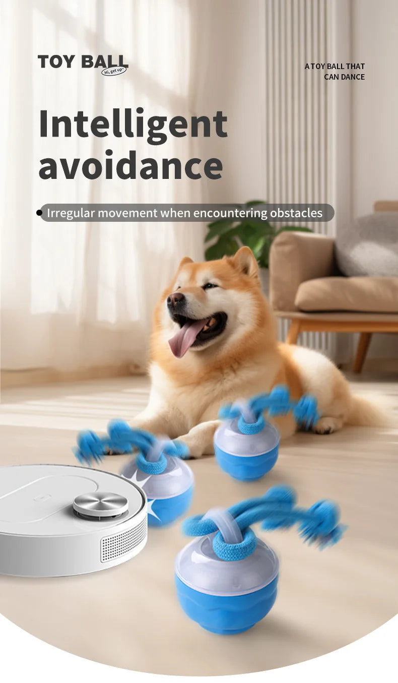 Interactive Rolling Dog Ball with Motion Sensor and Rope