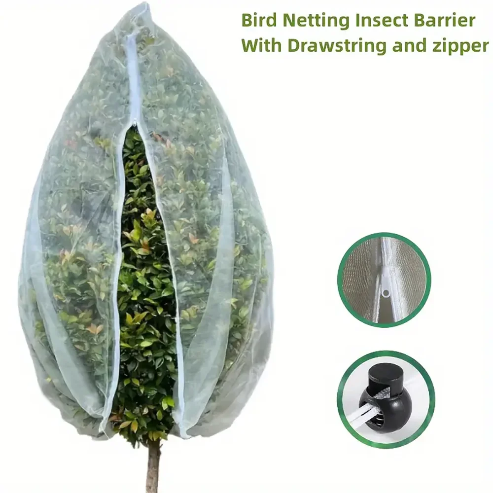 Bird netting insect barrier with drawstring and zipper protecting a small tree or plant.