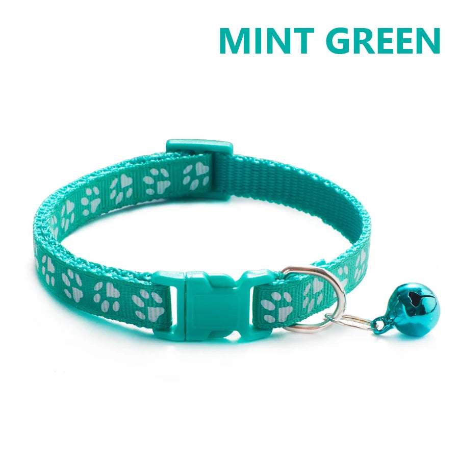 Mint green adjustable pet collar with a silver buckle and a small blue bell.