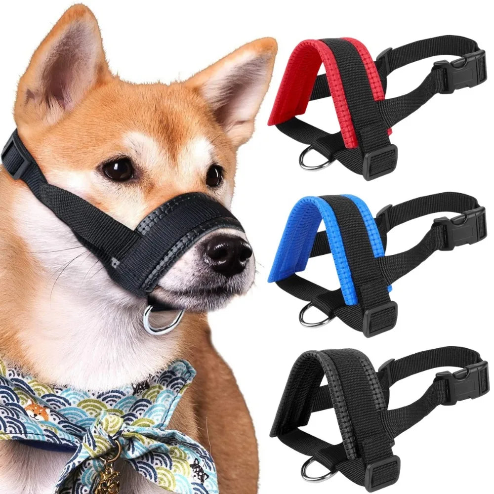 A brown dog wearing a black muzzle with a patterned collar, next to several adjustable black and red dog collars.
