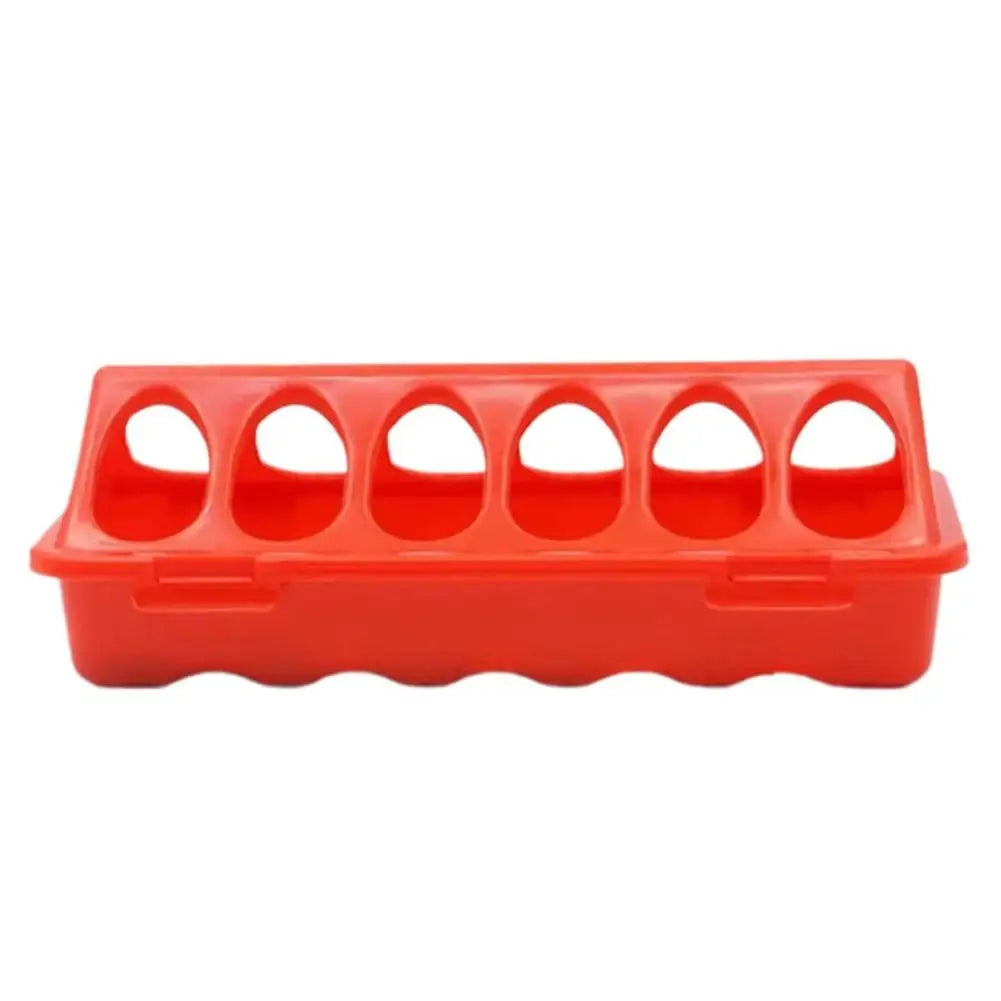 Red double-sided 12-hole poultry feeder for quail, chicks, and small birds