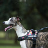 Adjustable No-Pull Dog Harness with Reflective Straps