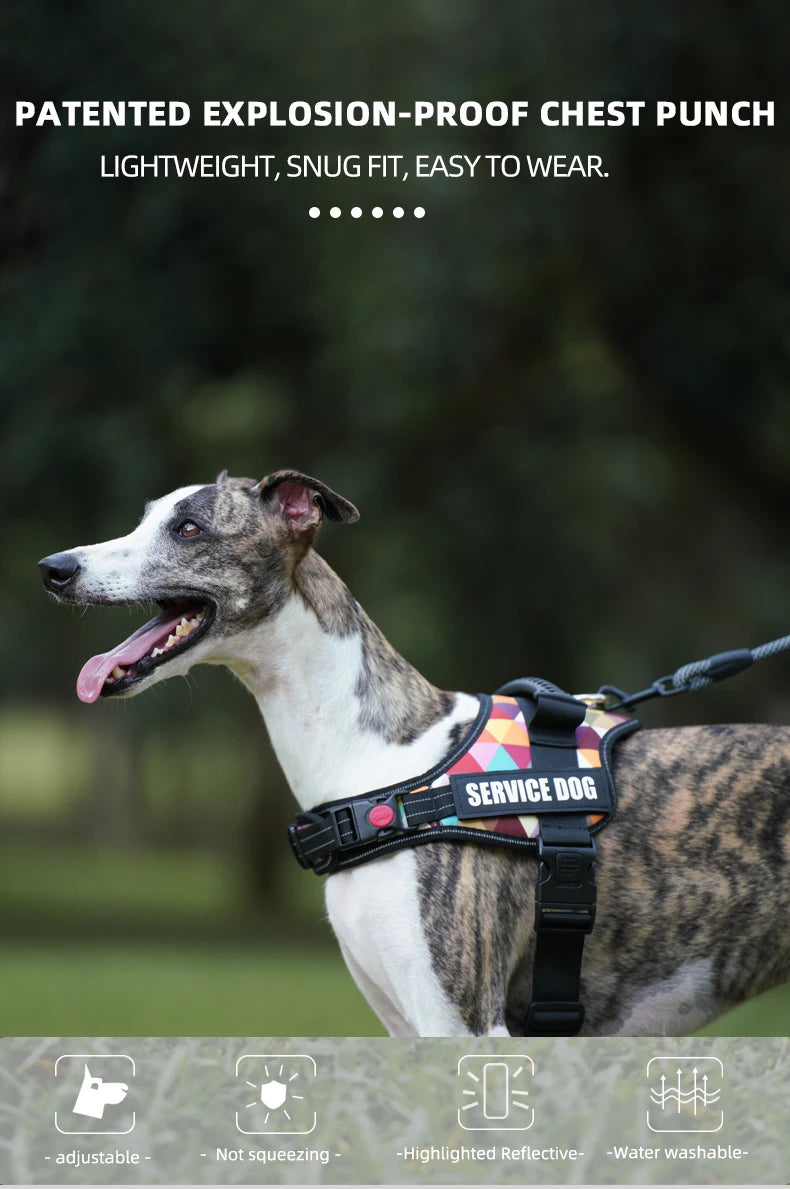 Adjustable No-Pull Dog Harness with Reflective Straps