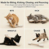Cat Teaser Wand Set with Replacement Fleece Tops