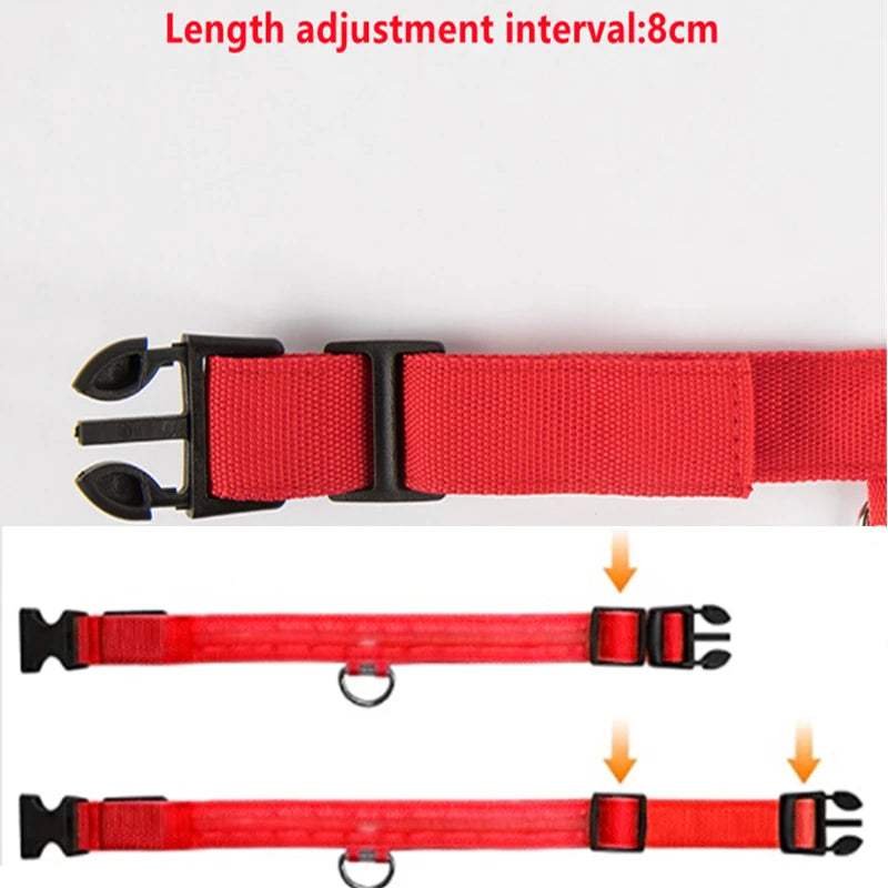 USB Charging Glowing Dog Collar with Pendant - Night Safety