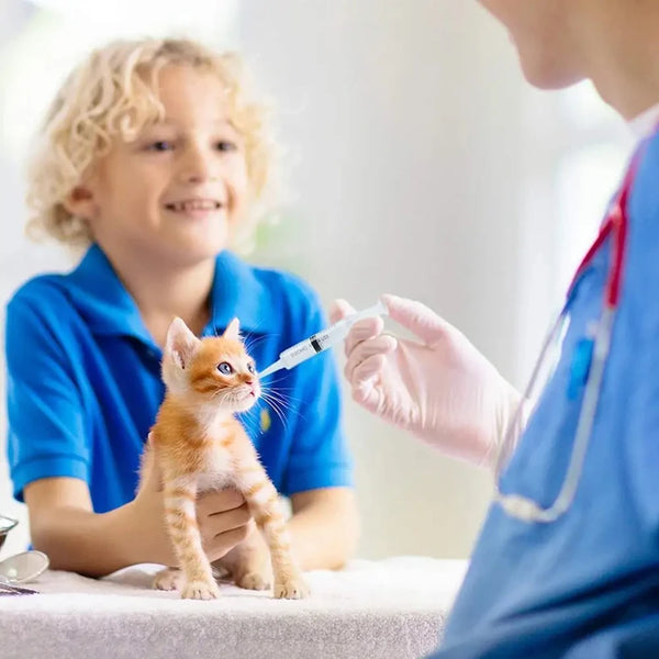 A child is holding a small orange kitten while a person in blue scrubs uses a syringe to examine it.