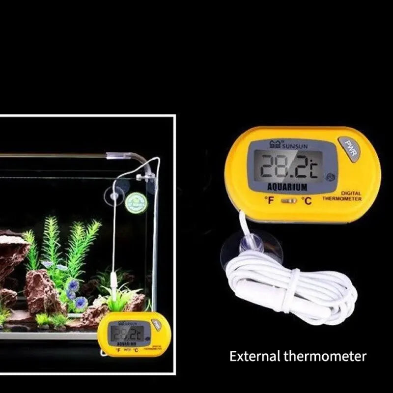 Gelotimeses digitales Thermometer mit Saugnapf neben einem Glas-Aquarium-Setup.